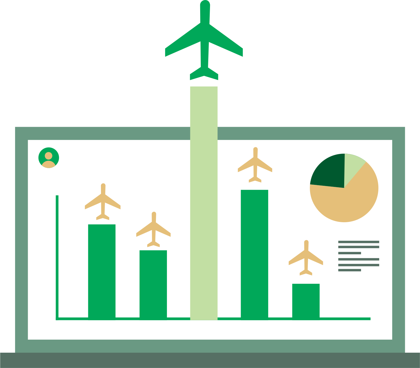 Airline Inner Page Picture